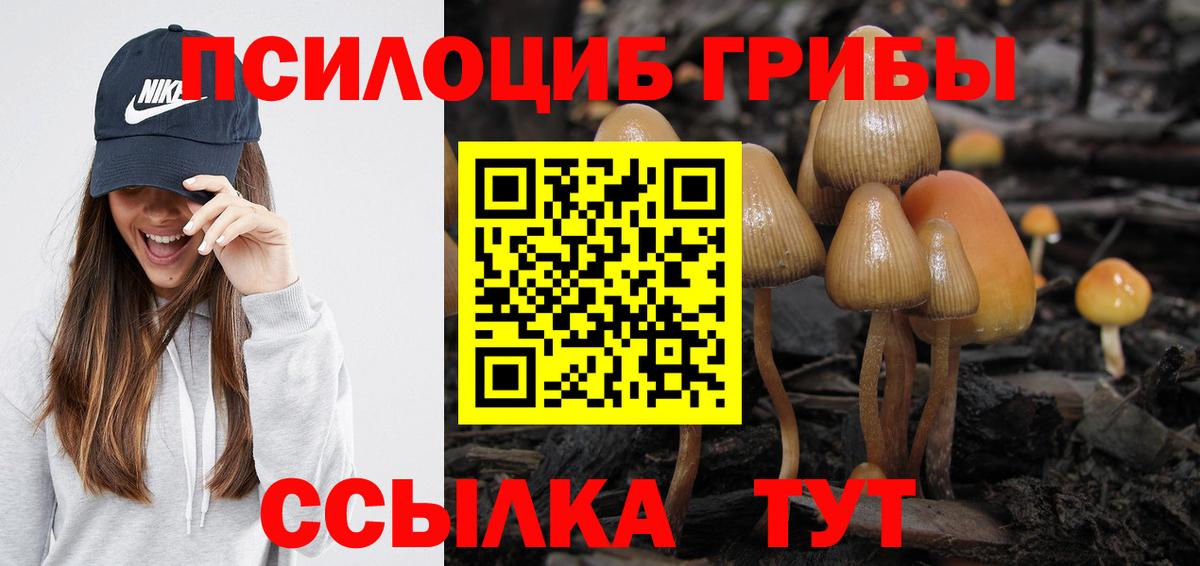 Галлюциногенные грибы мухоморы  наркотики  Бор  Галлюциногенные грибы прущие грибы  Вход с VPN 