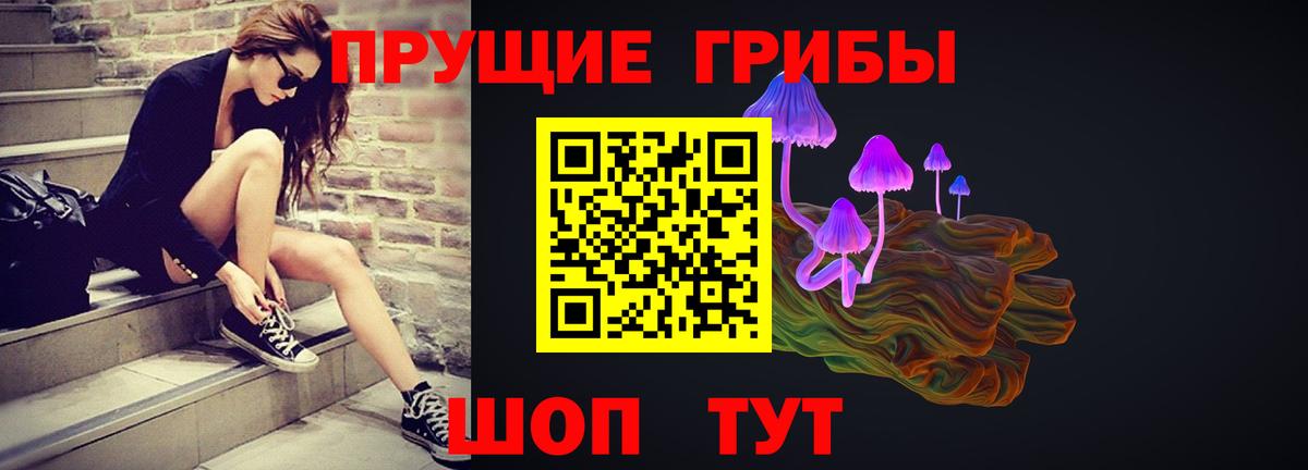 Галлюциногенные грибы Psilocybe Бор