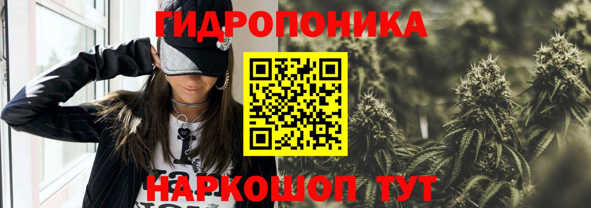Бор  Бошки марихуана тримм  Шишки марихуана план  Марихуана конопля  Вход с VPN 